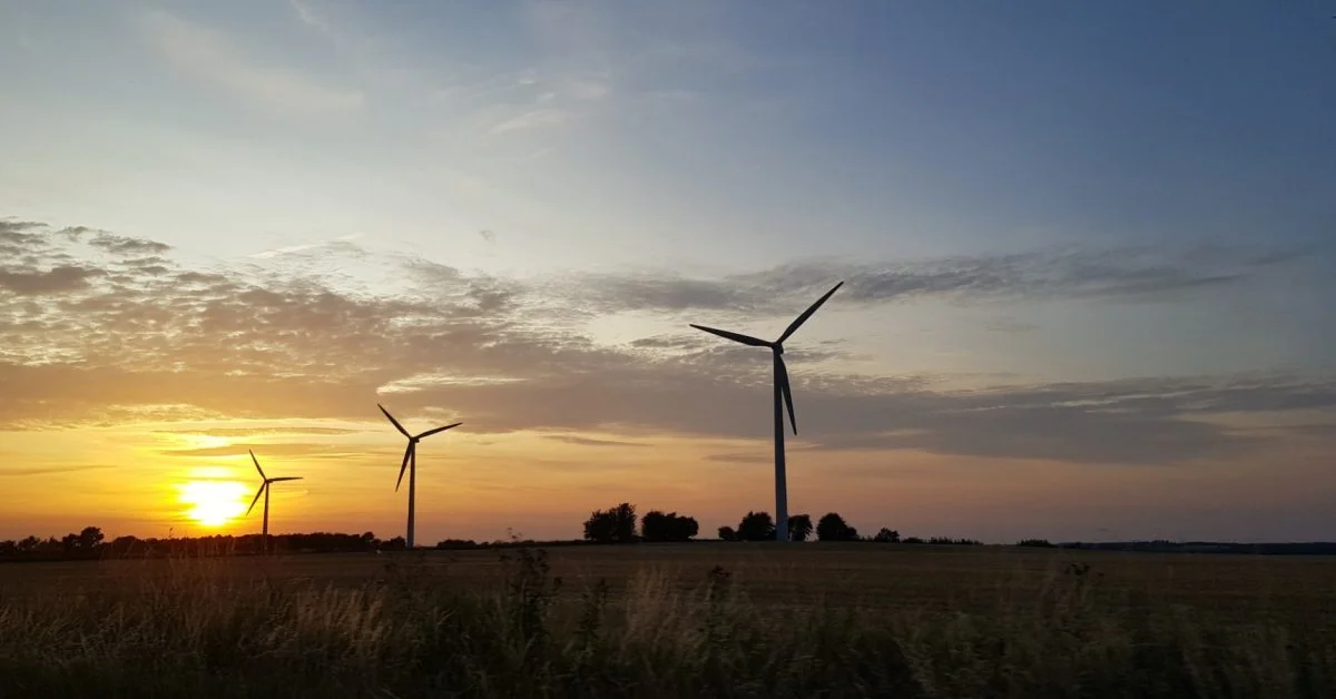Renewable deployment surge puts world on track for net zero pathway